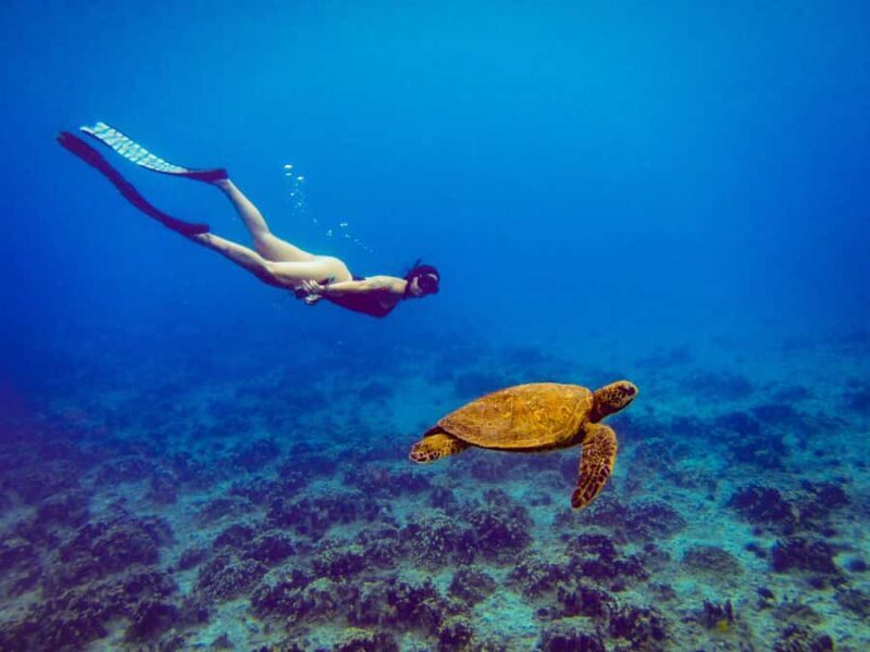 Easter island: Snorqueling tour on coral reefs - Experience the Mysterious Underwater World of Rapa Nui with a Snorkeling Tour