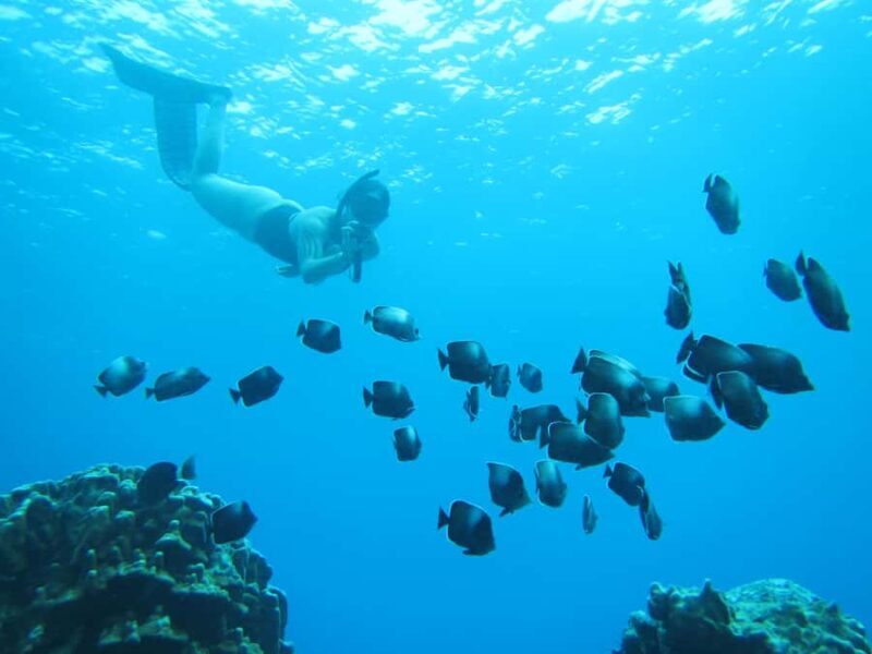 Easter island: Snorqueling tour on coral reefs - FAQs