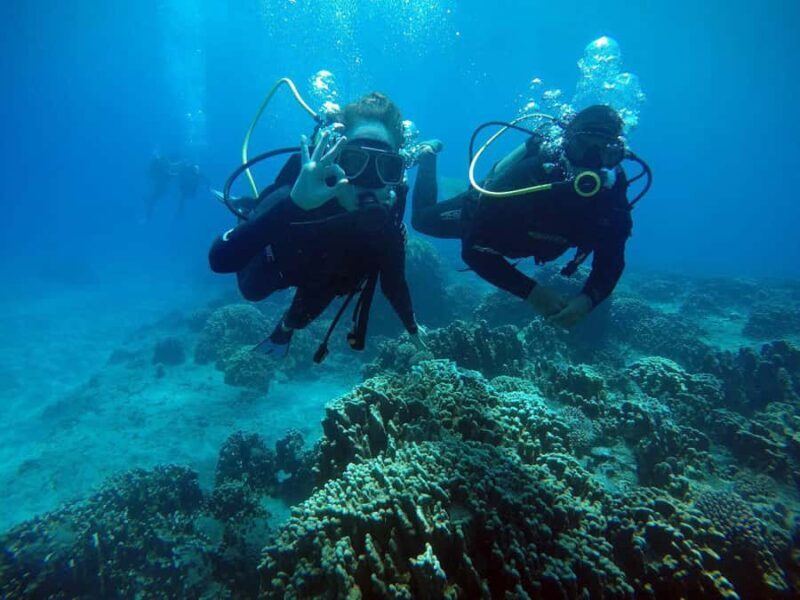 Easter Island: Tropical Diving - Key Points