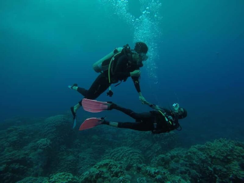 Easter Island: Tropical Diving - A Deep Dive into the Experience