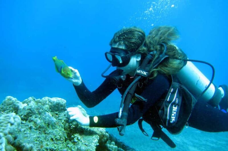 Easter Island: Tropical Diving - Why Choose This Tour?
