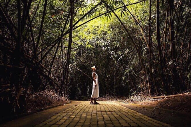 Eastern Bali and Besakih Temple Tour - What’s Included and What’s Not