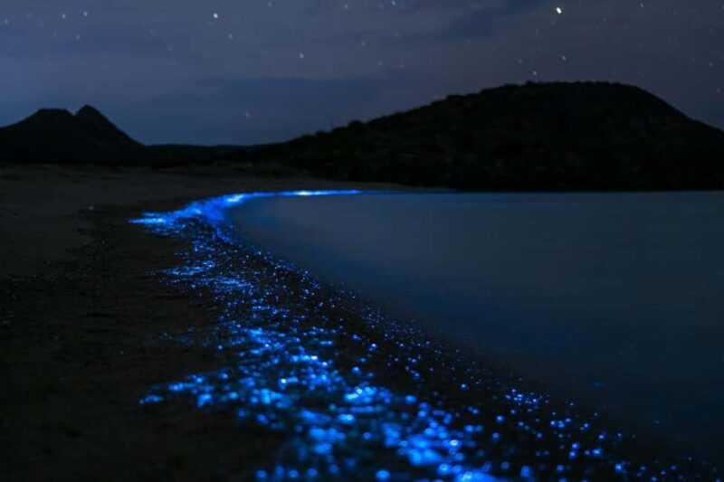 Eastsound: Orcas Island Bioluminescent Kayak Tour - Exploring the Orcas Island Bioluminescent Kayak Tour in Depth