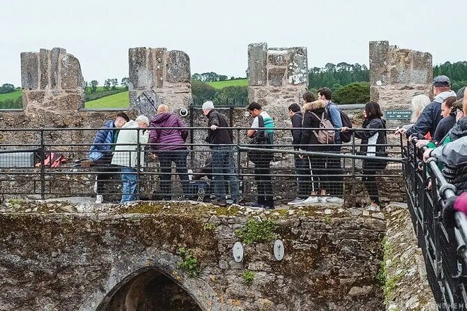 Easy Access Blarney Stone and Castle Gardens Tour - In-Depth Review: What to Expect from the Tour