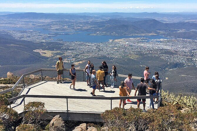 Easy Bike Tour - Mt Wellington Summit Descent & Rainforest Ride - Authentic Insights from Past Participants