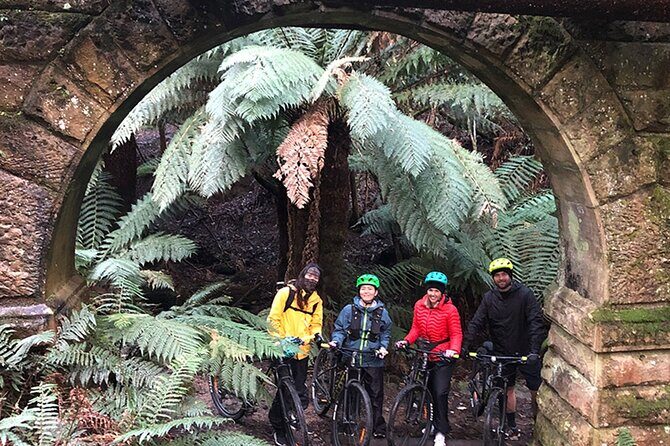 Easy Bike Tour - Mt Wellington Summit Descent & Rainforest Ride - Frequently Asked Questions