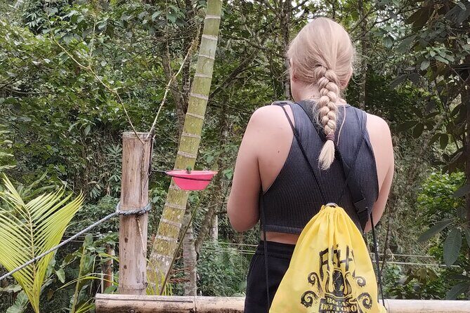 Easy Birdwatching in Cali Colombia (4 Hours) - A Detailed Look at the Birdwatching Experience