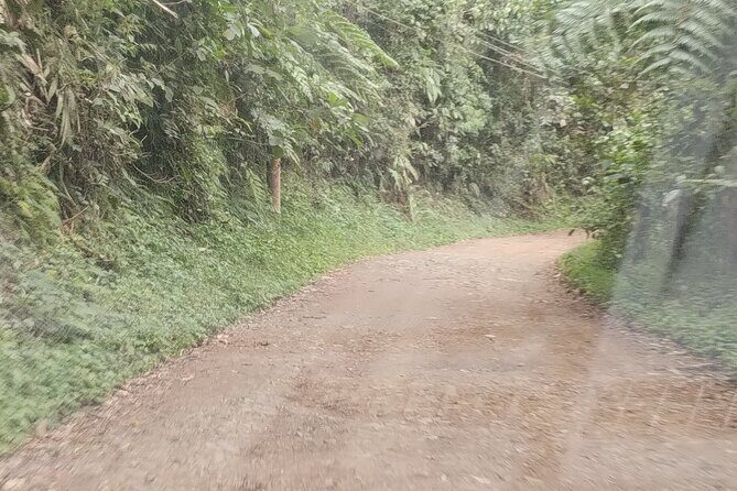 Easy Birdwatching in Cali Colombia (4 Hours) - Final Thoughts