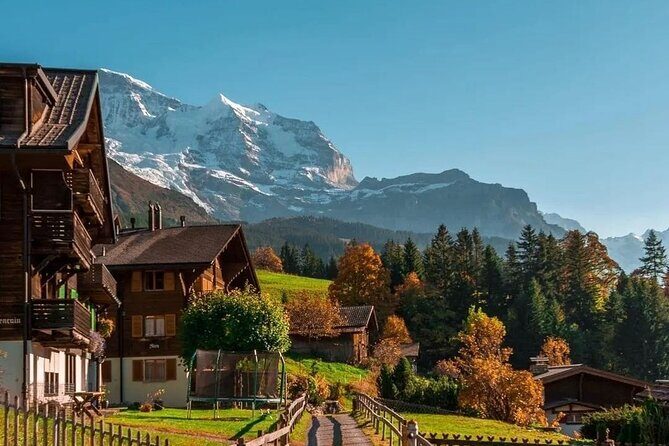 Easy countryside tour in Swiss Alps - kids friendly - A Closer Look at the Wengen Countryside Tour