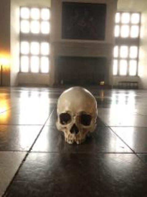 Easy Pace Tour of Kronbog Castle & Frederiksborg Palace W - Easy Pace Tour of Kronborg Castle & Frederiksborg Palace W