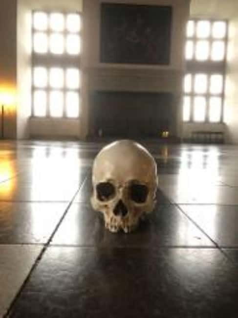 Easy Pace Tour of Kronborg Castle and Frederiksborg Palace - An In-Depth Look at Your Danish Day Out