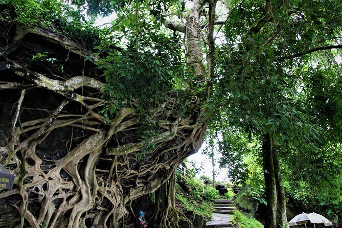 Easy Riders Buon Ma Thuot - Daily Tour. - What Travelers Say