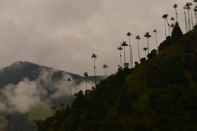 Easy Walk to Finca La Montaña and Short Tour in Salento - FAQ