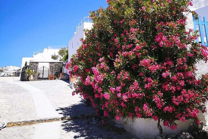 Easy Walks in Santorini Private Half Day Tour - A Close Look at the Santorini Private Half-Day Tour