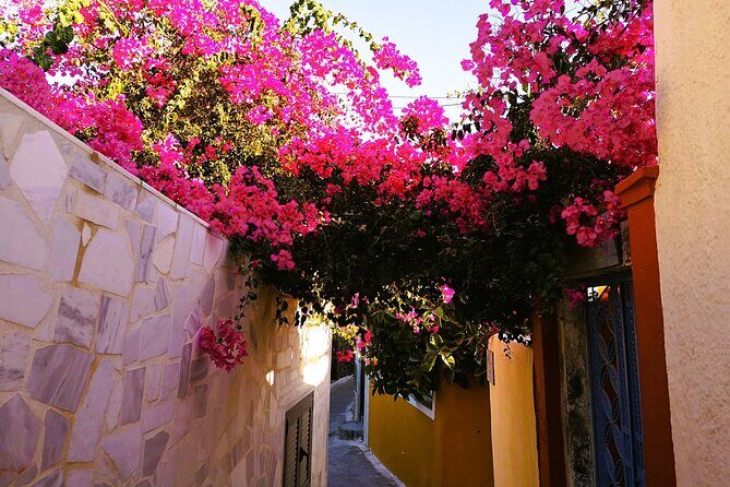 Easy Walks in Santorini Private Half Day Tour - Authentic Experiences and Guest Reviews
