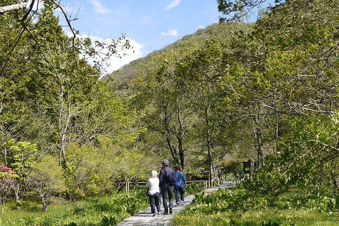 Easygoing Nature Walk in Hakone Tour - Frequently Asked Questions