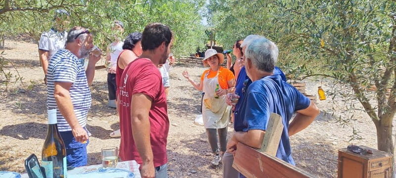 Eat in the vineyards like a Duriense - Final Words