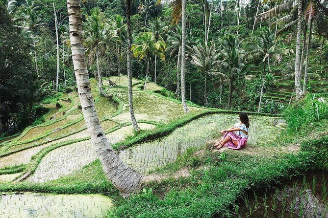 Eat Pray Love Bali Private Tour  Full Day - A Deep Dive into the Eat Pray Love Bali Private Tour