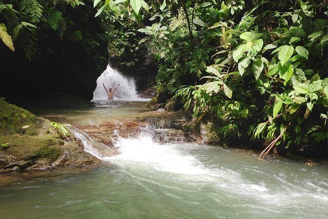 Ebano Waterfalls and Rainforest Safari Tour - A Deep Dive into the Ebano Waterfalls and Rainforest Safari