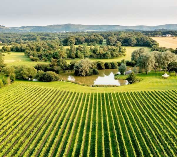 Ebike Tour Albourne Estate: Wine Tasting and Downs eBiking - An In-Depth Look at the Ebike Tour Experience