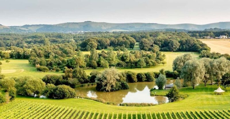 Ebike Tour Albourne Estate: Wine Tasting and Downs eBiking - Who Should Consider This Tour?