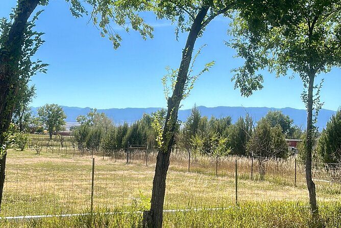 EBIKE Winery Tour in Penrose, Colorado: Penrose Uncorked - Final Thoughts