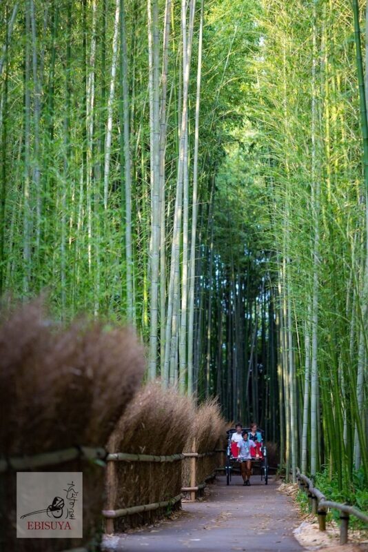 Ebisuya Rickshaw: Private Charter Ride in Kyoto - What the ride does, and does not, include