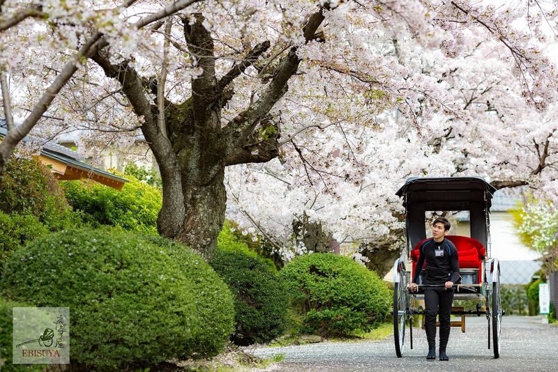 Ebisuya Rickshaw: Private Charter Ride in Kyoto - Prices and timing that help you choose