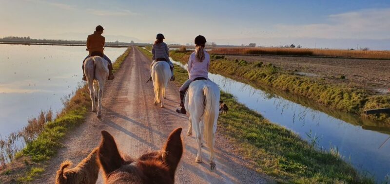 Ebro Delta National Park: Guided Horseback Riding Tour - Ebro Delta National Park: Guided Horseback Riding Tour