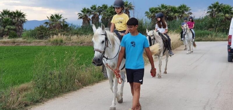 Ebro Delta National Park: Guided Horseback Riding Tour - Practical Details and Tips