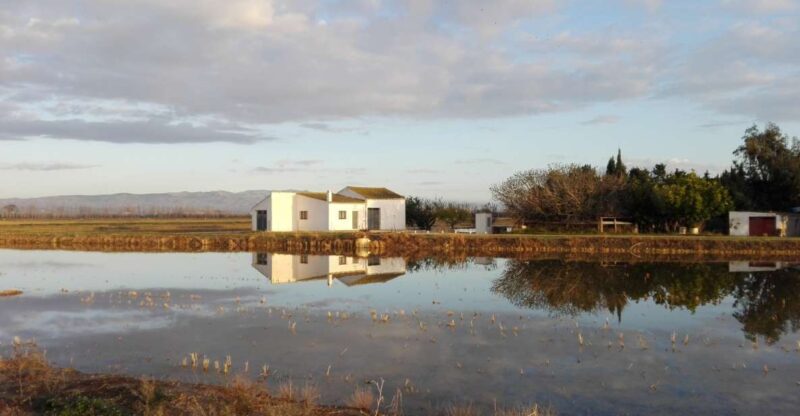 Ebro Delta: Northern Delta Guided Tour with a Local - Key Points