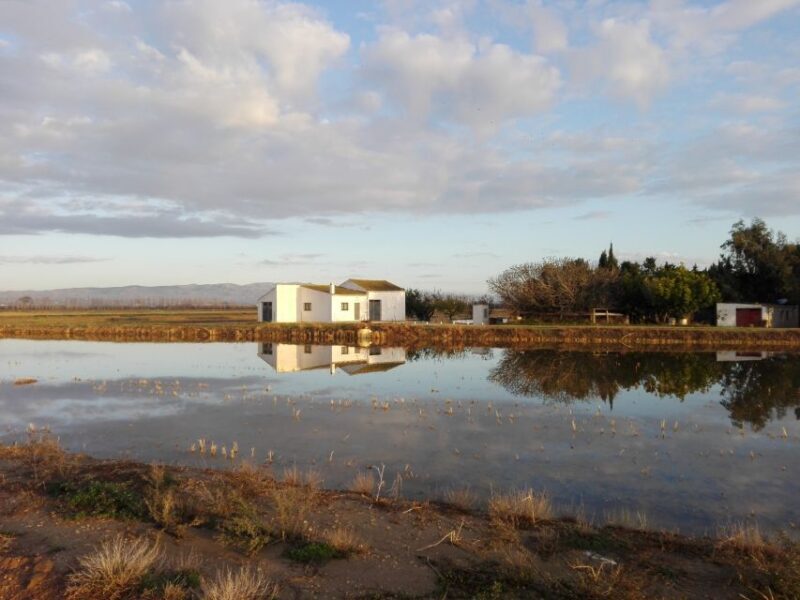 Ebro Delta: Northern Delta Guided Tour with a Local - Final Thoughts