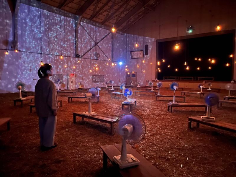 Echigo-Tsumari Art Tour: Satoyama & Modern Art Experience in Niigata - What the price includes, and what it saves you
