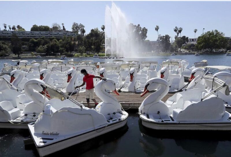 Echo Park Lake: Swan Pedal Boat Rental - Value and Overall Impression