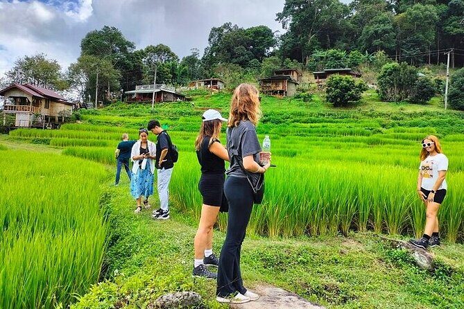 Eco 1.45Hours Hiking @Pha Dok Siaw + Doi Inthanon & Royal Project - Frequently Asked Questions