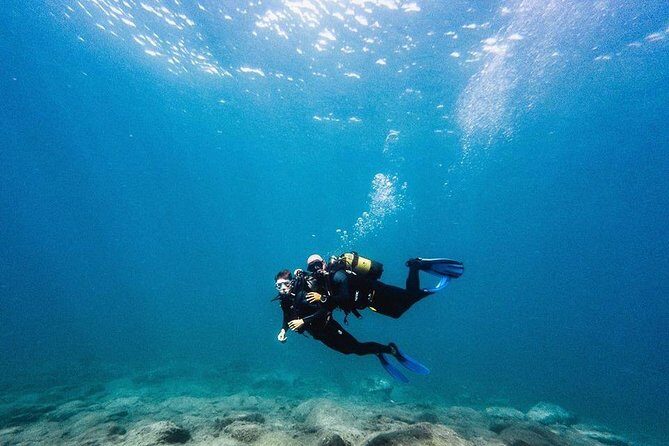 Eco Adapted Diving in Tenerife - Exploring the Details of Eco Adapted Diving in Tenerife