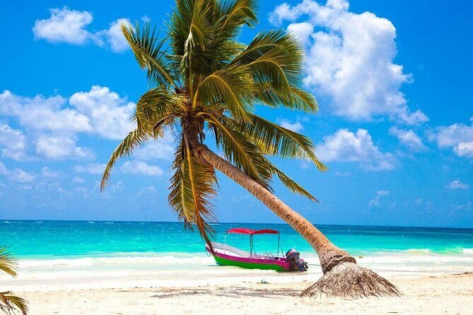 Eco Adventure At 3 Cenotes & 1 Lagoon ! From Cancun & Riviera - Final Thoughts: Is This Tour Worth It?