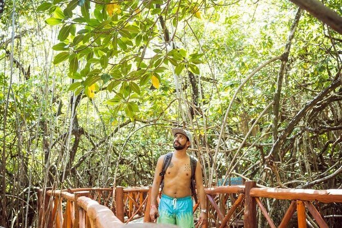 Eco Adventure Cenotes Casa Tortuga!+ Tulum Ruins From Cancun & Playa Del Carmen - Transportation and Group Size