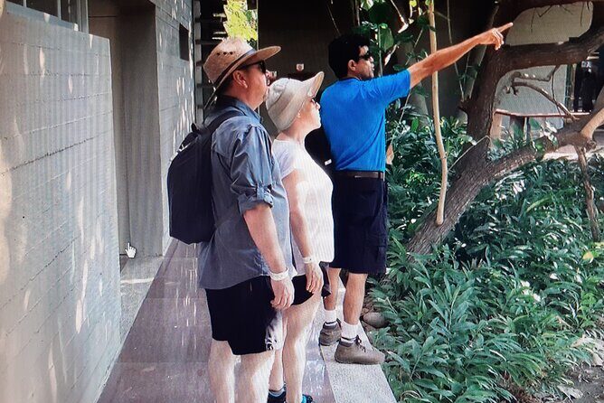 Eco Adventure in the Archaeological Area of Copalita - FAQ