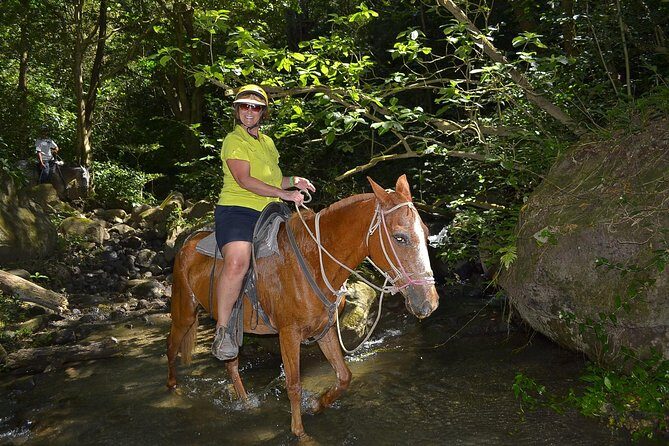 Eco-Adventure Park Premium Day Pass - Authentic Experiences and Real Feedback