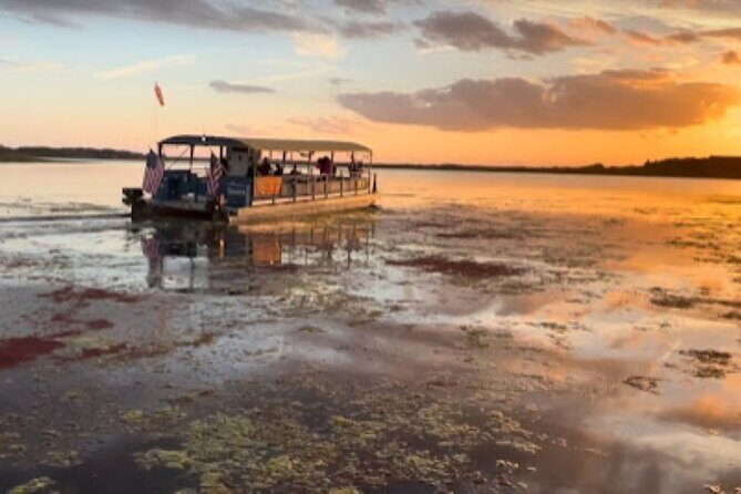 Eco Adventure Scenic Wildlife Boat Cruise - Exploring the Details of the Eco Adventure Scenic Wildlife Boat Cruise