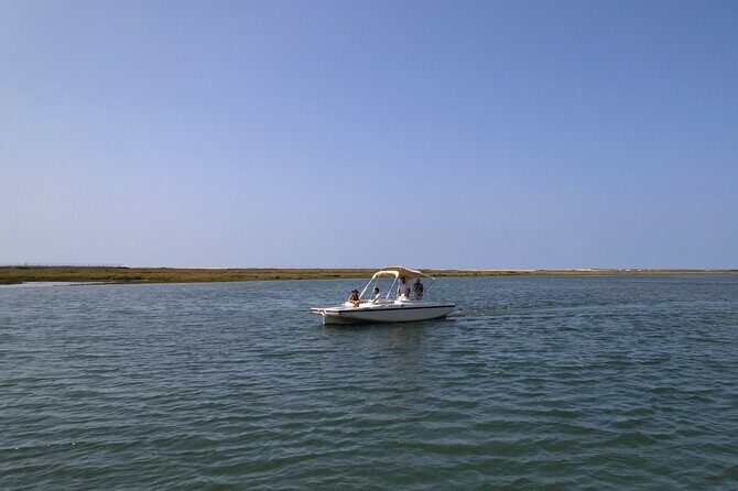 Eco Boat Tour in the Ria Formosa Lagoon from Faro - Key Points