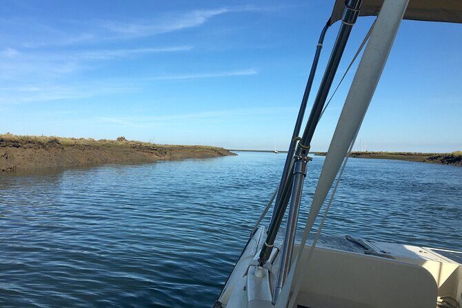 Eco Boat Tour in the Ria Formosa Lagoon from Faro - Final Thoughts: Is It Worth It?