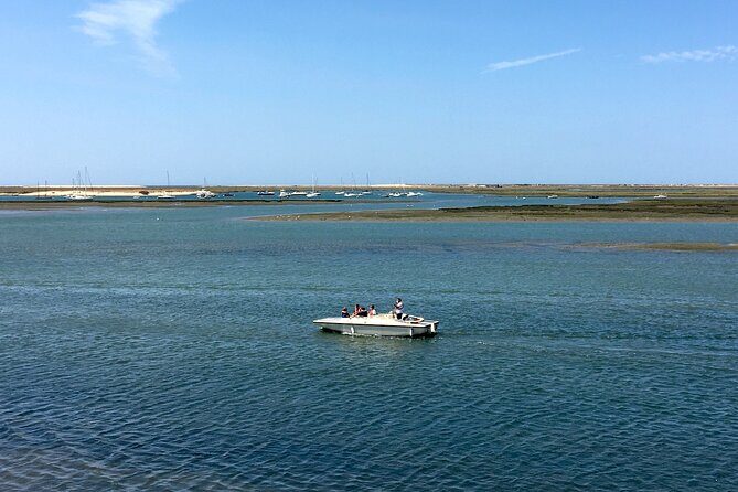 Eco Boat Tour in the Ria Formosa Lagoon from Faro - FAQ: Your Quick Guide to the Ria Formosa Eco Boat Tour