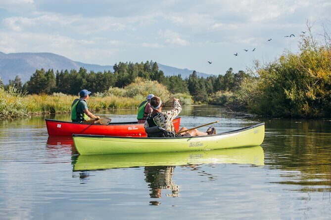 Eco Canoe Tour - Why Choose This Tour Over Others?