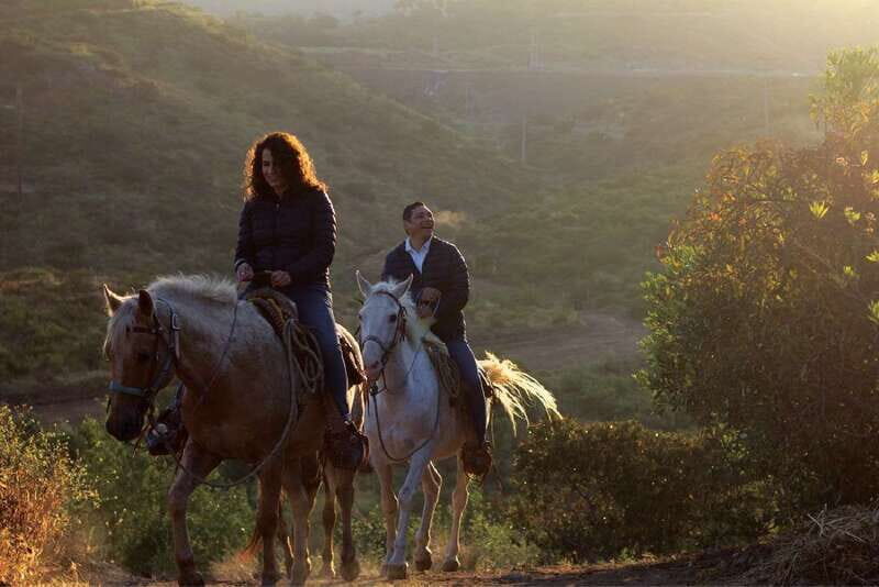 Eco Canyon Horseback Riding Excursion - What to Expect from the Itinerary