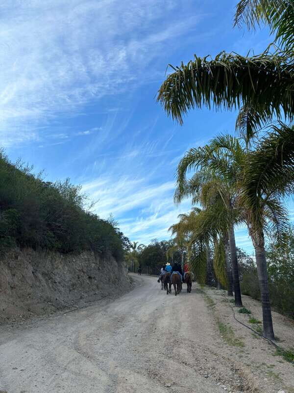 Eco Canyon Horseback Riding Excursion - Practical Details