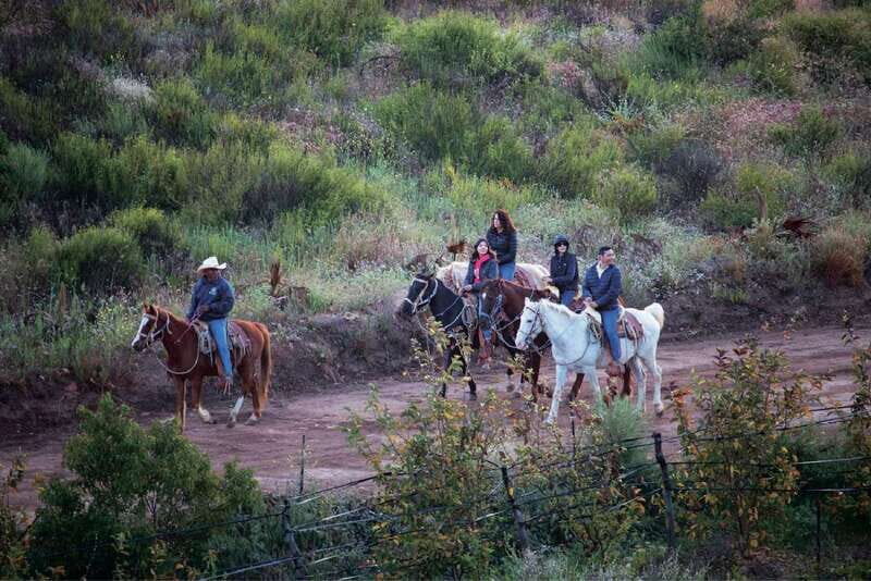Eco Canyon Horseback Riding Excursion - Why This Tour Is a Good Choice