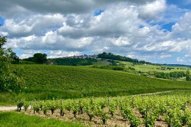 Eco Circuit to Discover Sancerre - An Introduction to the Tour