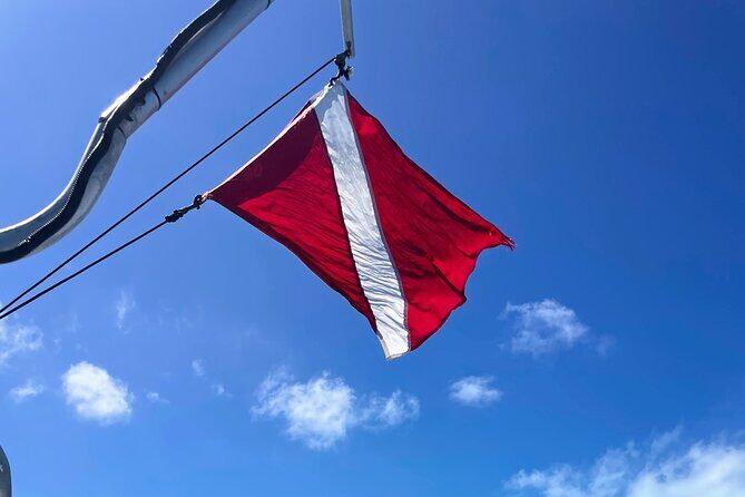 Eco Conscious Reef Diving with Southpoint Divers - FAQ